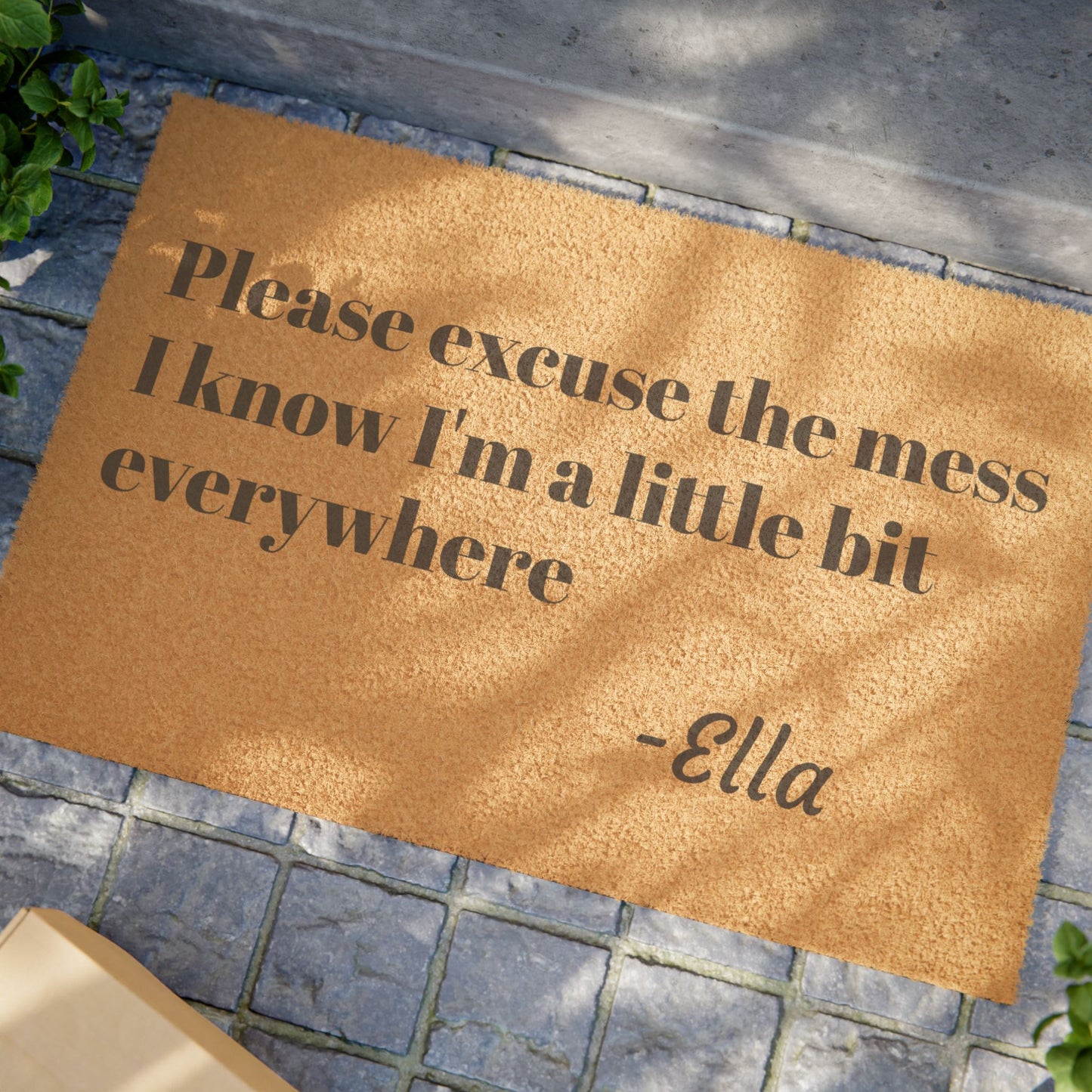 Please Excuse The Mess Doormat